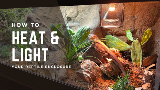 How to heat and light your PVC reptile enclosure