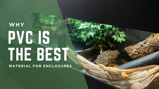 Why PVC Is the Best Material for Reptile Enclosures