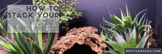 How to stack your reptile enclosures