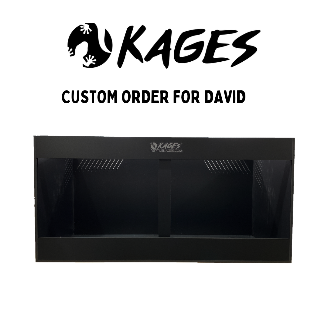 Custom Order for David Singh