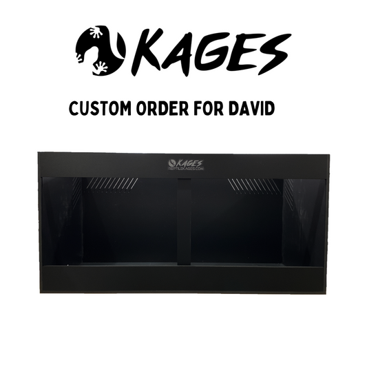Custom Order for David Singh