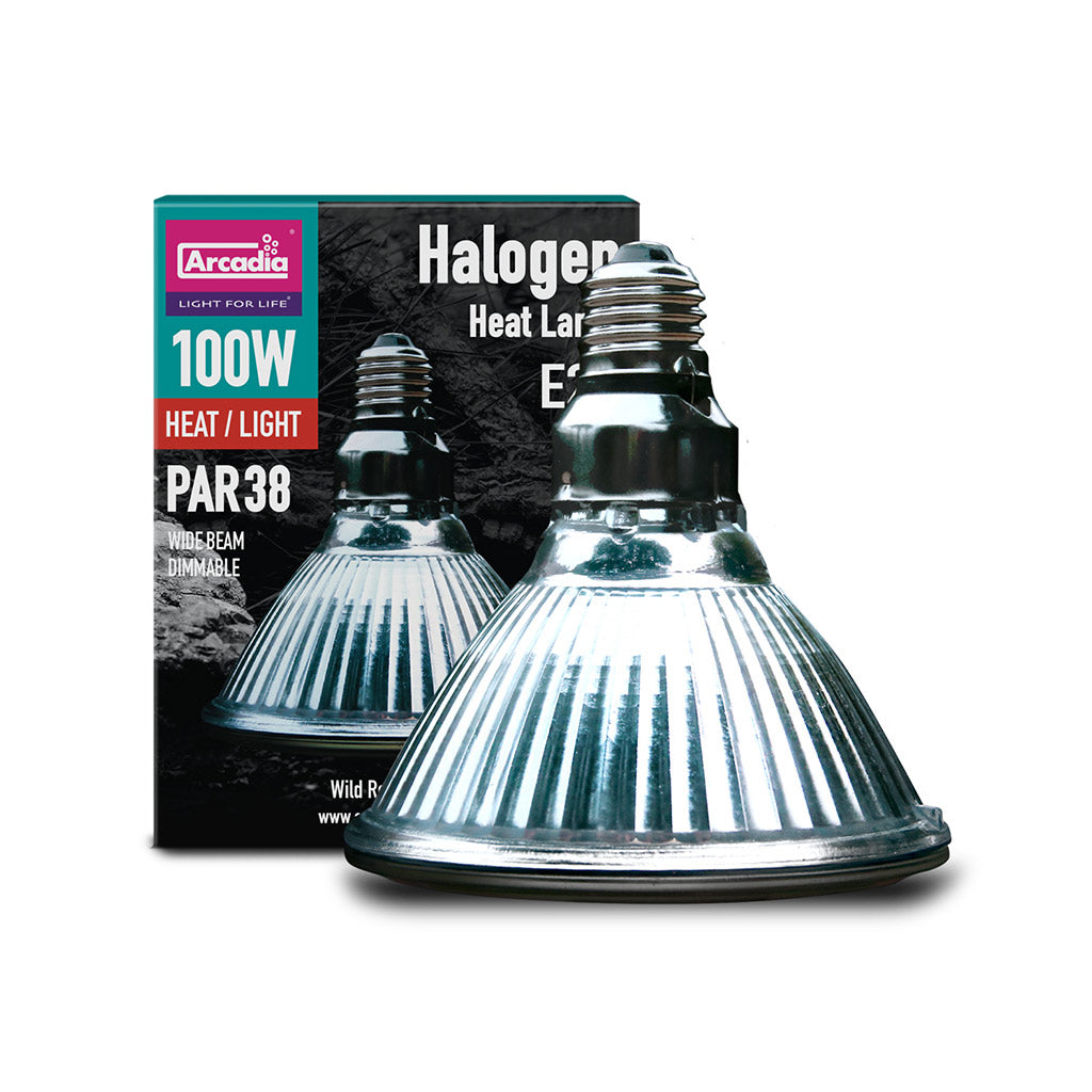 Arcadia Reptile Halogen Basking Spotlight