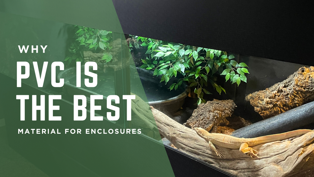 Why PVC Is the Best Material for Reptile Enclosures