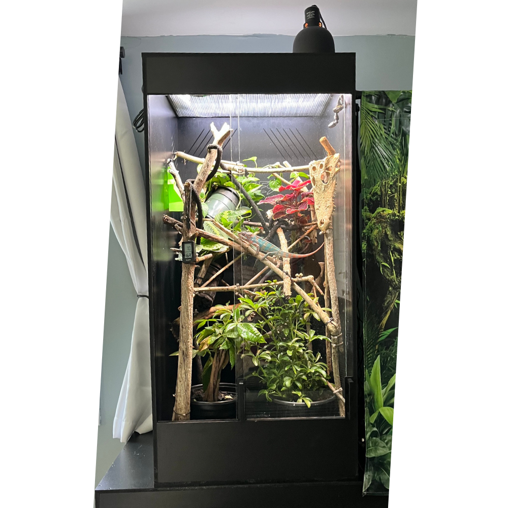 Premium PVC Reptile Enclosure | 2' x 2' x 4' Vertical Enclosure