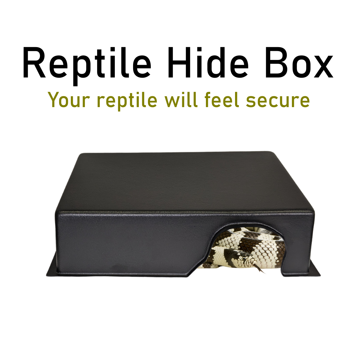 Kages Formed ABS Reptile Hide Box