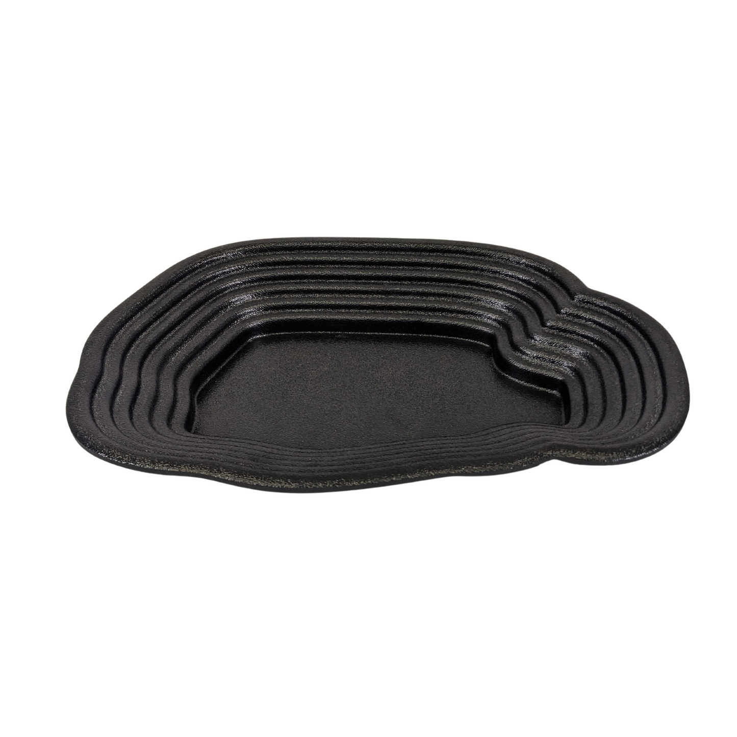 Reptile Bathing Pool with Steps, Feeding Bowl