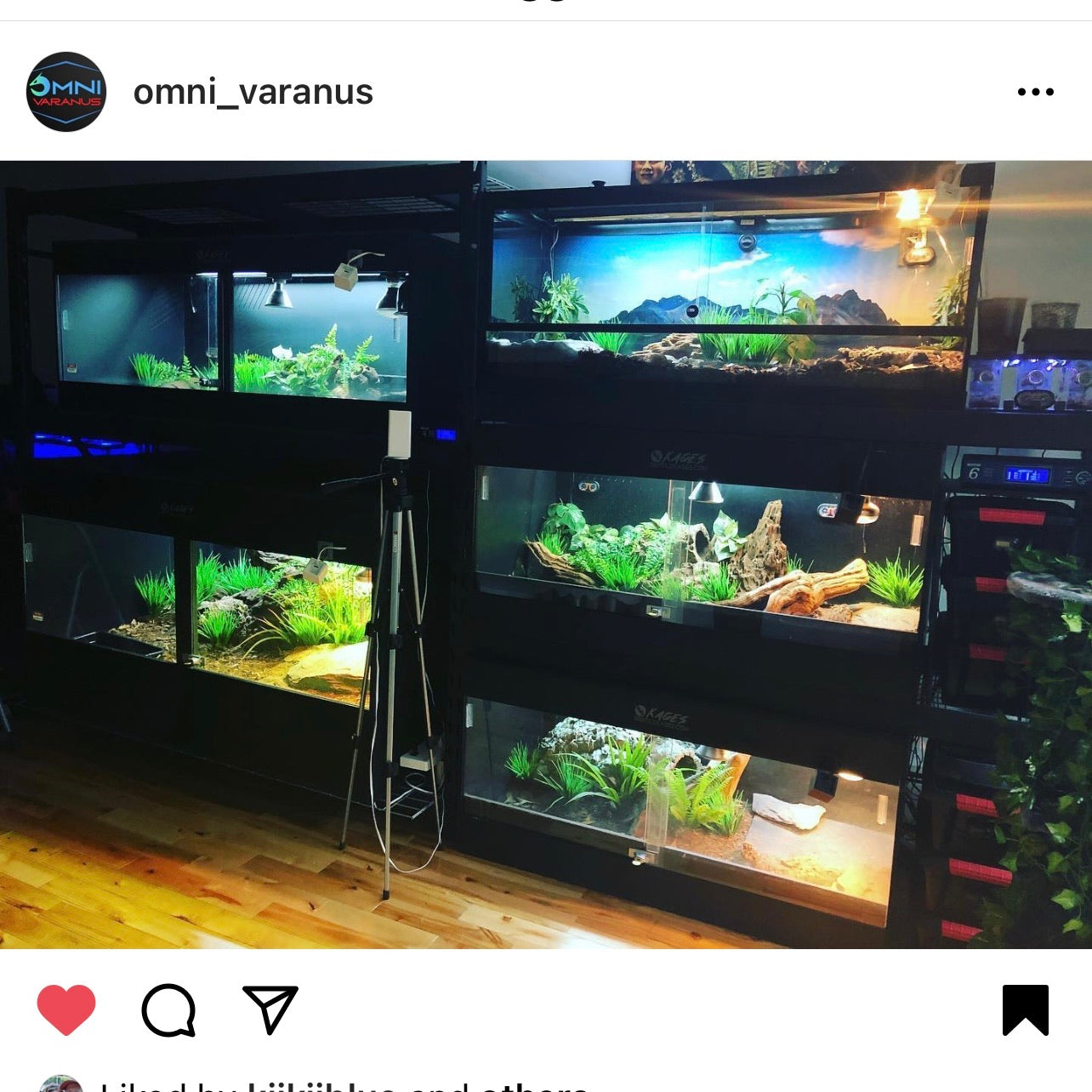 Kages custom 2025 reptile enclosures