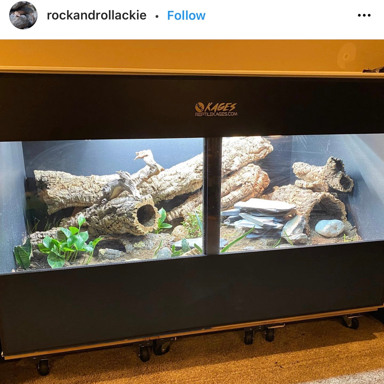 Handmade 2025 reptile enclosures