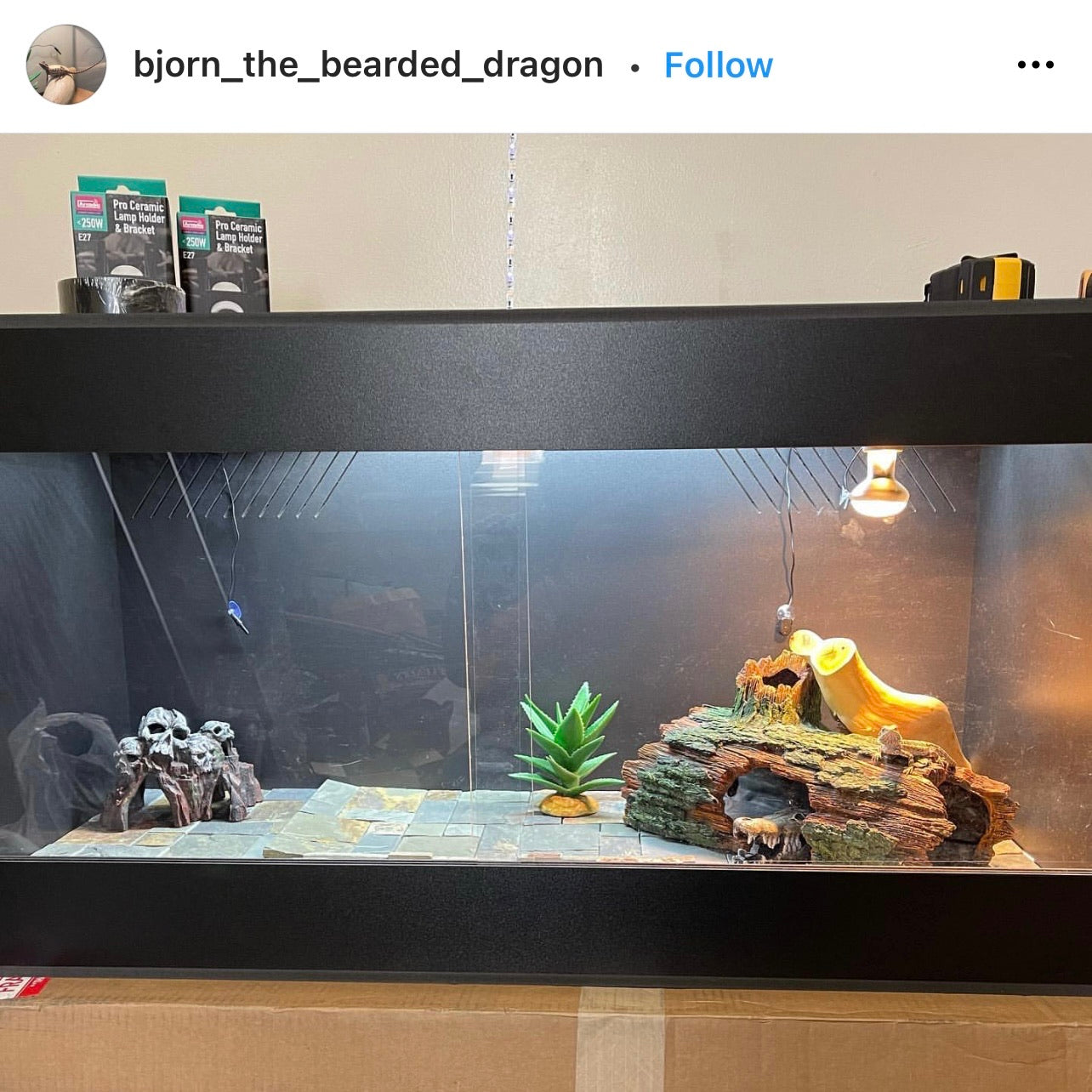 bearded dragon cages plans